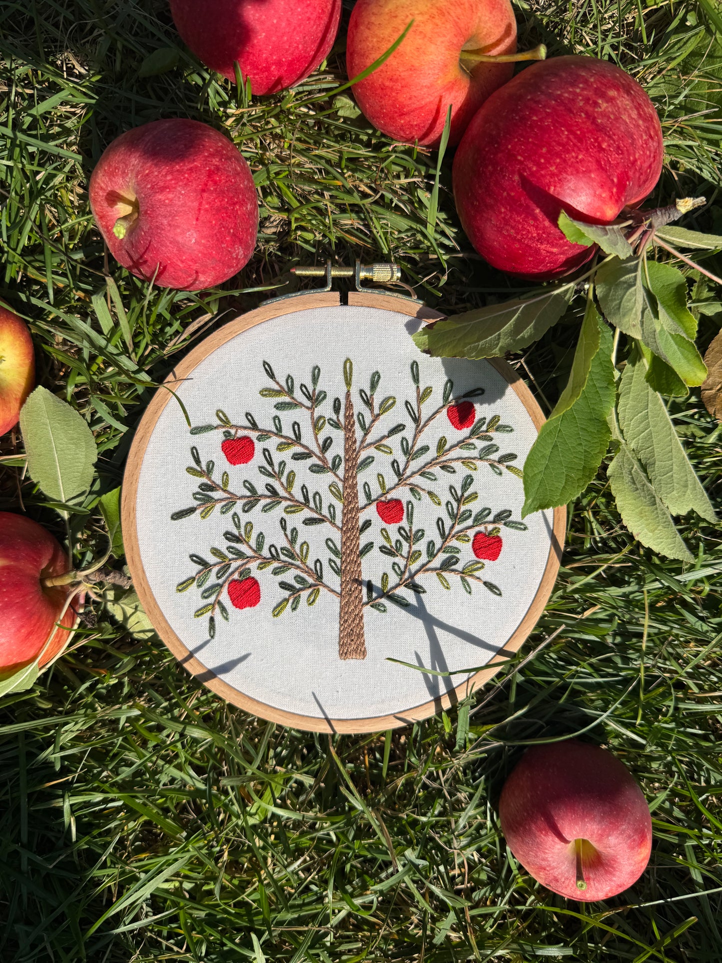 Embroidery Kit - Apple Tree